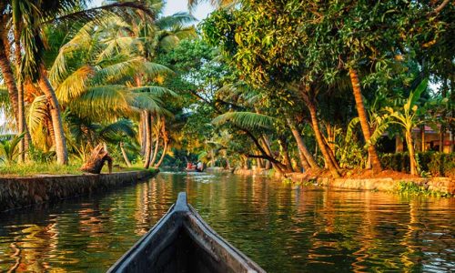 see-and-do-kerala-social