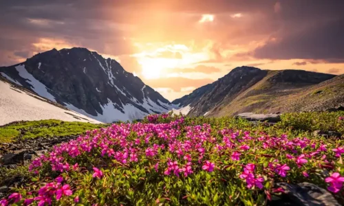 Best Uttarakhand tour packages